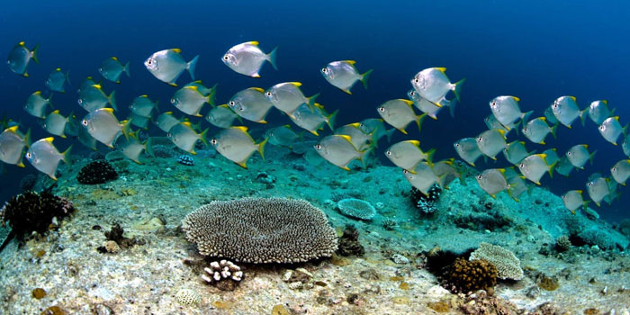 best-things-to-do-in-seychelles-angel-tours-img