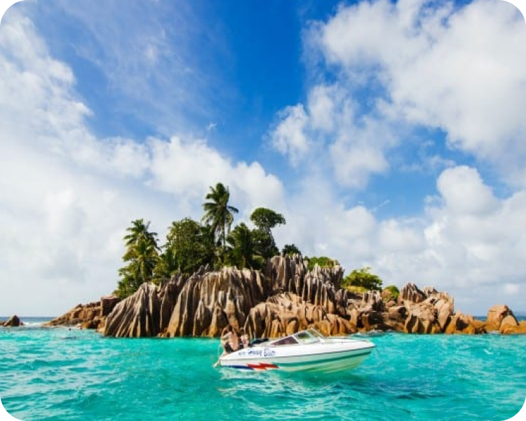 Tortoise in Seychelles- What to expect